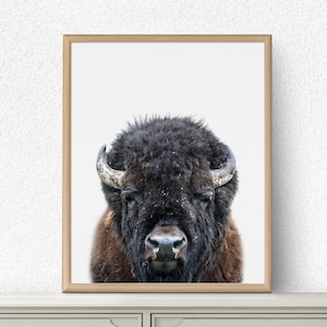 Bison Print, Buffalo Print, Bison Wall Art, Nursery Decor, Nursery Art, Nursery Wall Art,  Kids Room Decor, Bison Poster Art,  Buffalo Art