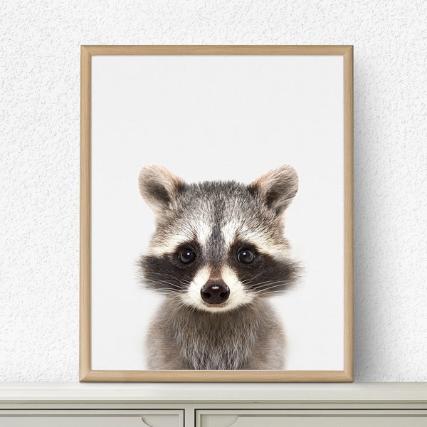 Racoon Print, Baby Animal Prints, Nursery decor, Woodland Animals Wall Art, Forest Animal,  Baby Shower, Digital Download, Kids Art, Racoon