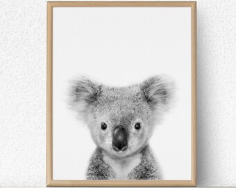 Baby Koala Bear Print, Australian Nursery Animal (Digital Download)