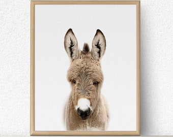 Donkey Nursery Print, Baby Animal Wall Art (Digital Download)
