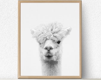 Alpaca Print, Llama Wall Art, Nursery Decor, Nursery Animal Print, Digital Download, Black and White, Alpaca Poster, Nursery Animals, Alpaca