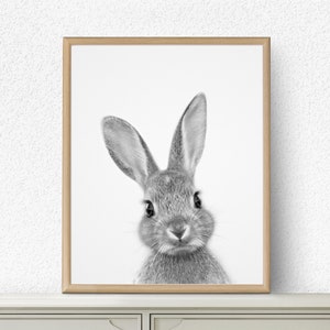 Woodland Nursery Decor, Rabbit Poster, Nursery Animal Print, Rabbit Bunny Printable, Black and White, Digital Download, Baby Room Art Decor