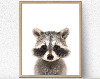 Baby Raccoon Print, Baby Animal Prints, Woodland Animals Wall Art, Nursery Decor, Forest animal, Baby shower, Large Printable Poster