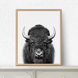 Bison Print, Buffalo Print, Bison Wall Art, Nursery Decor, Nursery Art, Nursery Wall Art,  Kids Room Decor, Bison Poster Art,  Buffalo Art