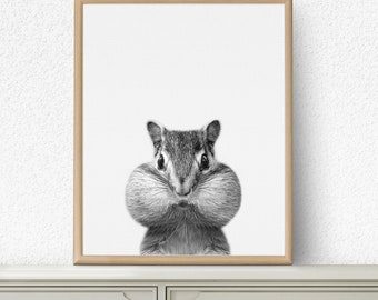 Baby Animal Prints, Chipmunk Print, Nursery Animals, Nursery Animal Print, Baby Animal, Nursery Animal Decor, Animal Print, Nursery Wall Art