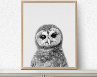 Owl Nursery Print, Modern Minimalist Black and White Animal Art (Digital Download)