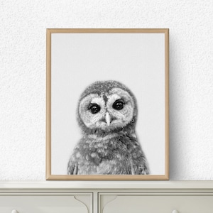 Owl Print, Woodlands Nursery, Woodlands Owl, Owl WallArt, Modern Minimal, Black and White Animal, Printable Owl, Kids Room Decor, Nursery