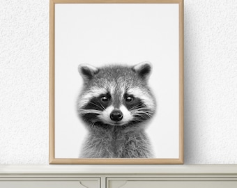 Raccoon Print, Woodlands Decor, Woodland Animals, Nursery Animals, Nursery Printable, Animal Art, Nursery Animal Print, Nursery Decor