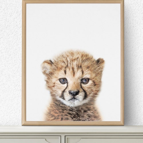 Cheetah Cub Print Cheetah Print Nursery Decor African Etsy