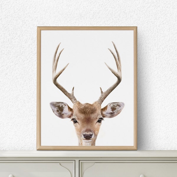 Deer Print, Deer Head and Antlers, Woodland Animals, Woodlands Decor, Woodlands Nursery, Nursery Decor, Woodlands Printable,  Kids Wall Art