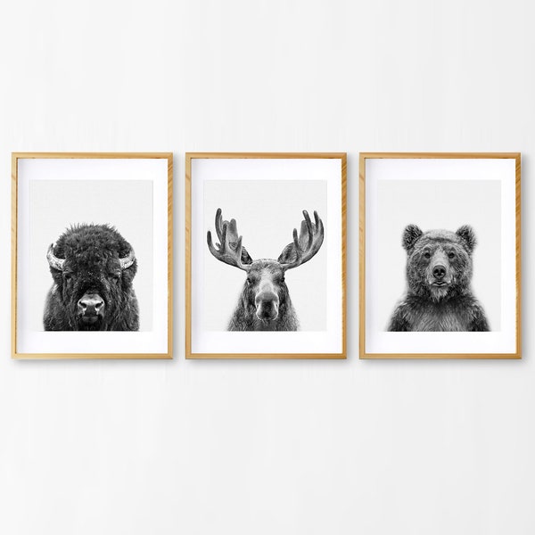 Woodland Animals Print Set of 3, Printable Nursery Wall Art Decor, Moose, Bison Buffalo, Bear, Black and White, Forest Animal, Kids Room