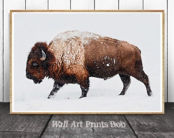Bison im Schnee Fotografie Druck, Buffalo Wand Kunst (Digitaler Download)
