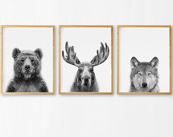 Woodland Animals Print Nursery Wall Art Decor Set of 3 | Etsy