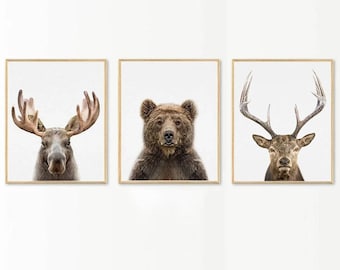 Ensemble d'impression d'animaux de la forêt, décoration de chambre d'enfant, élan ours cerf (téléchargement numérique)