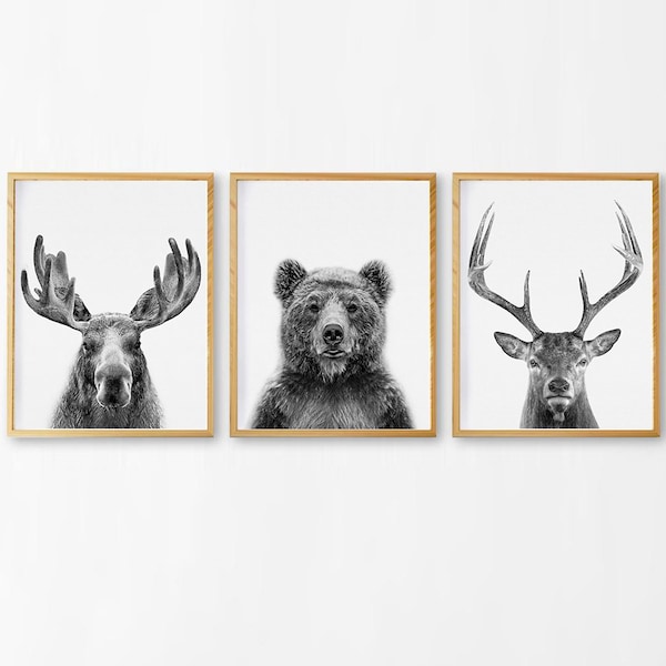 Woodland Animals Print, Nursery Wall Art Decor, Set of 3 Prints, Deer, Moose, Bear, Black and White, Forest Animals Printable