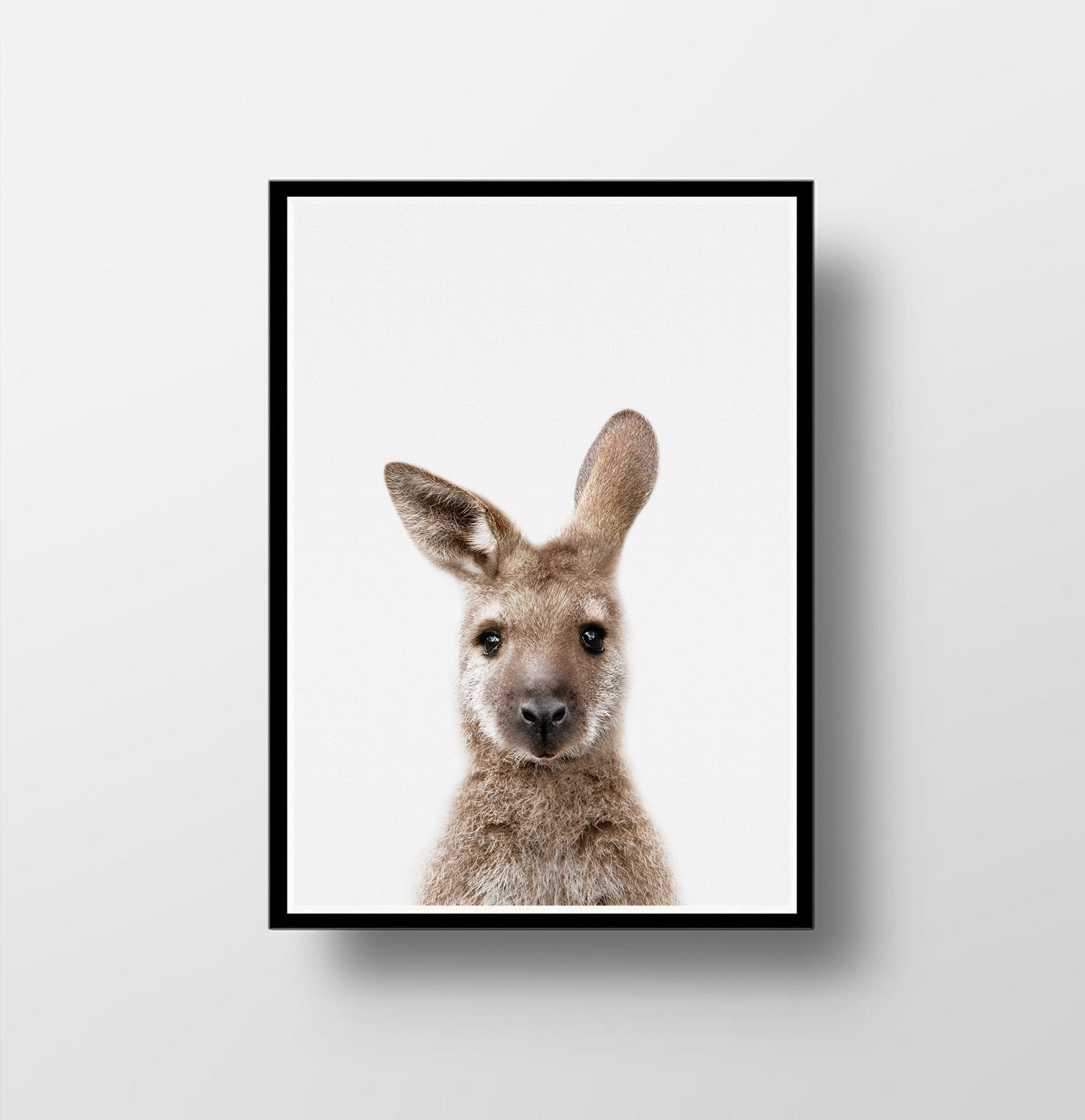 Kangaroo Print Australian Animal Wall Art Nursery Decor Etsy