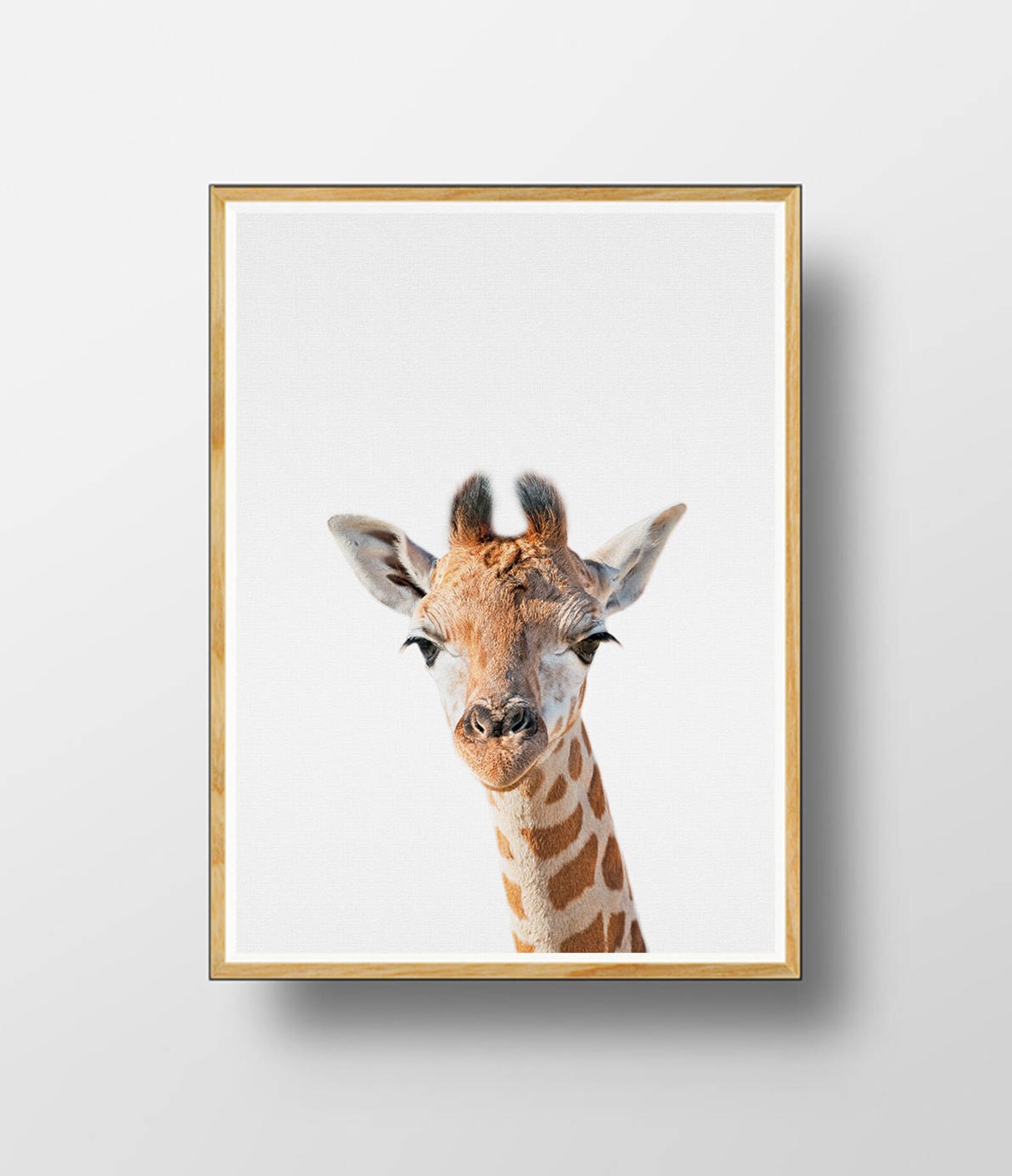 Baby Animal Safari Prints Printable Baby Animal Nursery Etsy