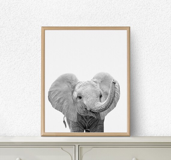 baby elephant prints for nursery