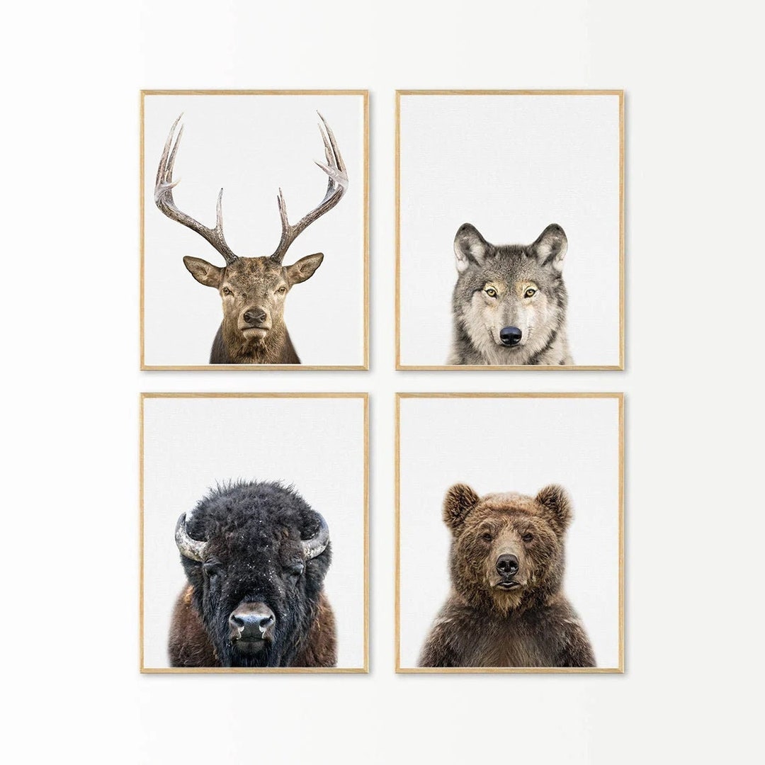 Nursery Wall Art Decor Woodland Animals Print Set of 4 Elk - Etsy
