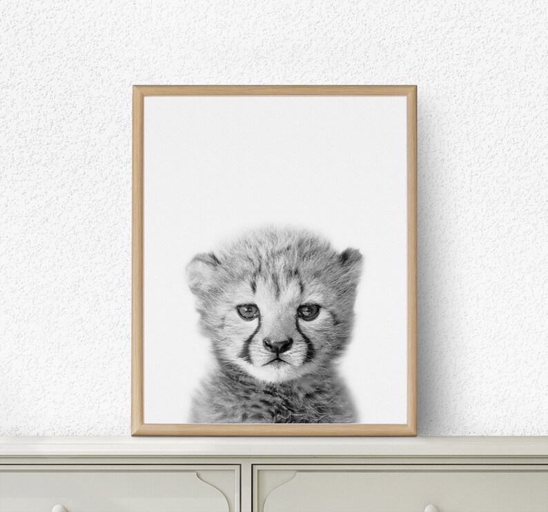 Cheetah Cub Print Cheetah Print Nursery Decor African Etsy
