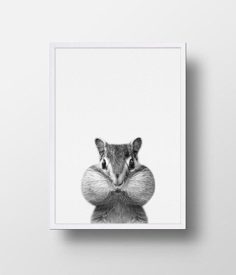 Baby Animal Prints Chipmunk Print Nursery Animals Nursery Etsy