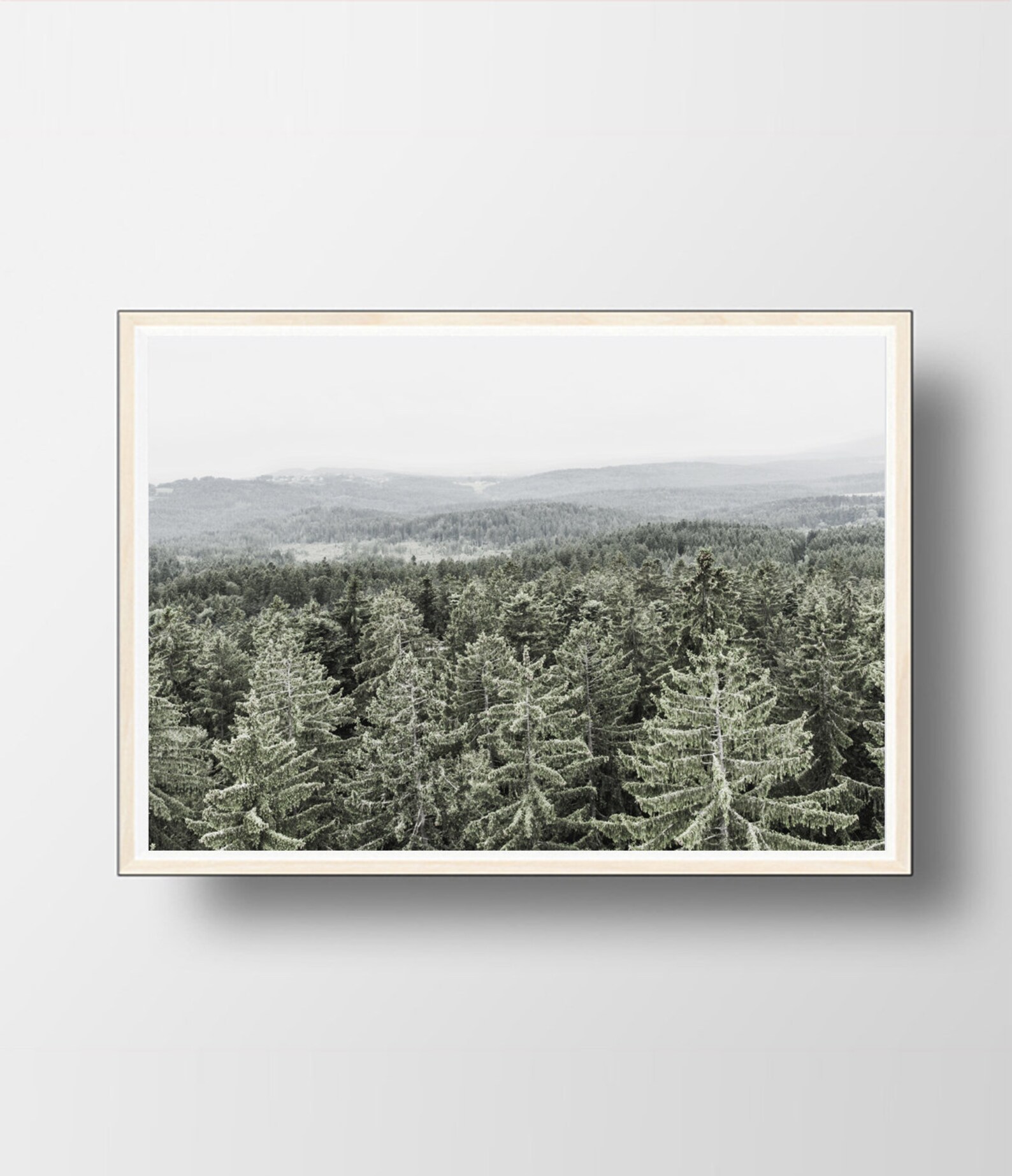 Forest Print Forest Printable Landscape Fog Wall Art - Etsy