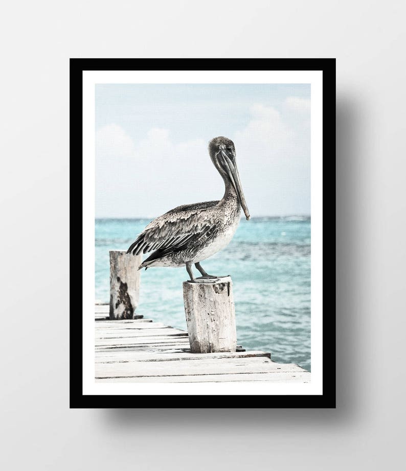 Beach Wall Art Beach Print Pelican Wall Art Beach Decor Etsy