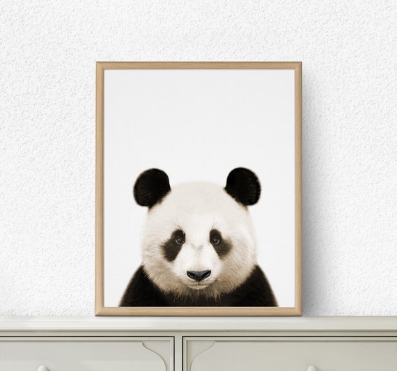 Panda Print, Panda Wall Artwork, Nursery Printable, Nursery Animal, Infants Place Artwork, Printable Panda, Infants Space Decor, Panda Photograph Coloration photograph about Printable Panda Pictures named Panda Print, Panda Wall Artwork, Nursery Printable, Nursery Animal, Infants Area Artwork, Printable Panda, Infants Space Decor, Panda Photograph Shade