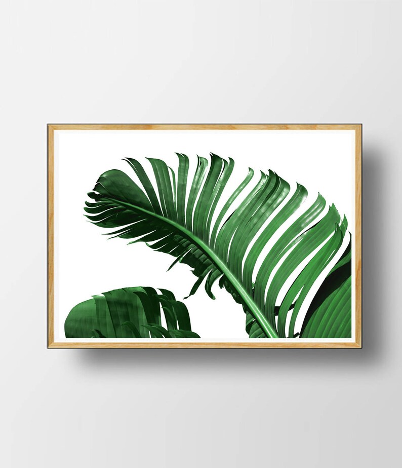 Ttropical Leaves Tropical Wall Art Botanical Print Leaf Etsy
