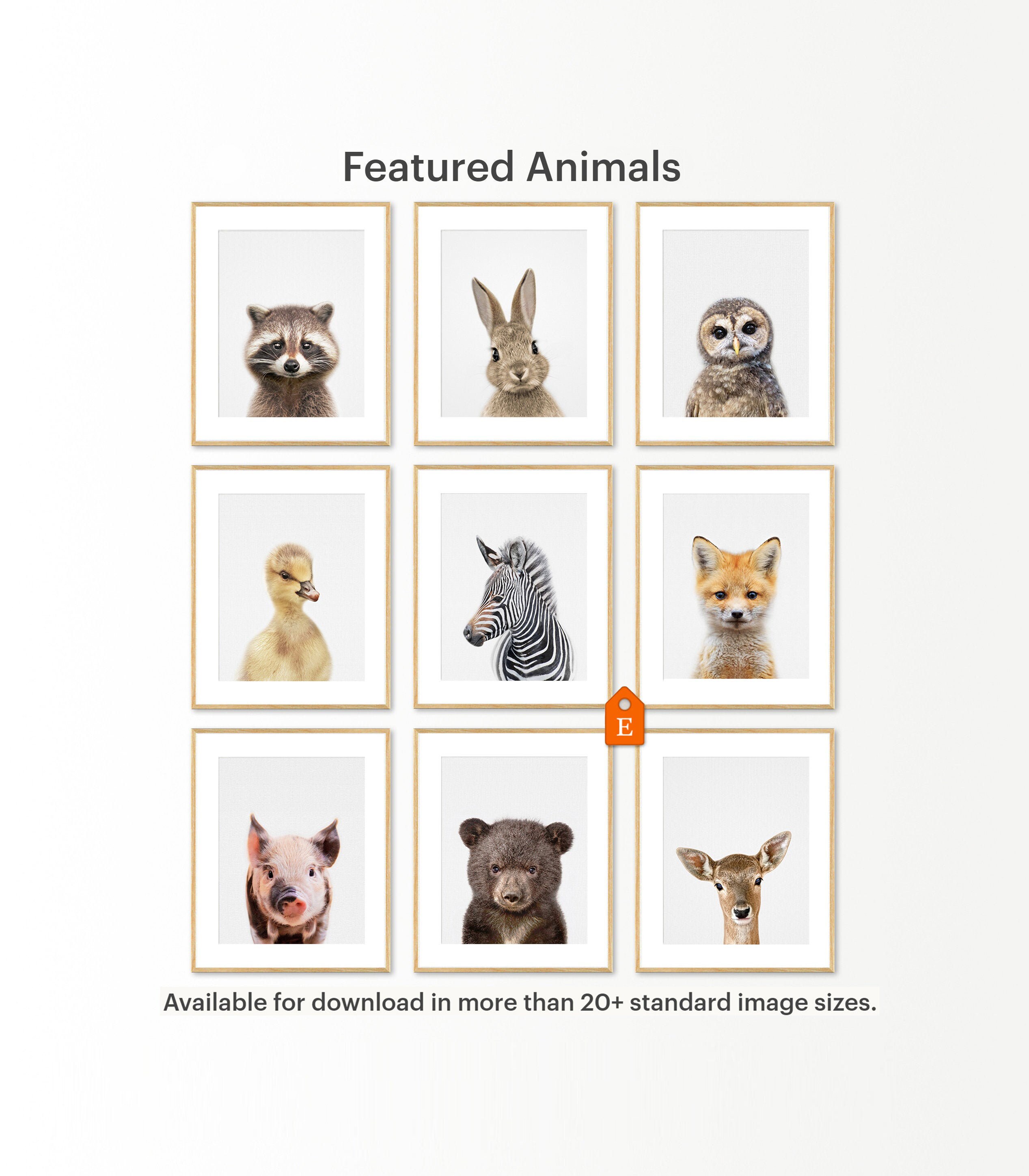 Baby Animal Prints Nursery Animals Nursery Animal Print Etsy Baby Animal Prints Nursery Animals Nursery Animal Print Etsy