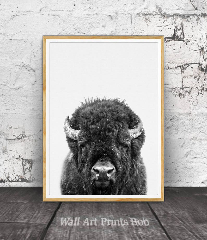 Bison Print Buffalo Print Bison Wall Art Nursery Decor - Etsy