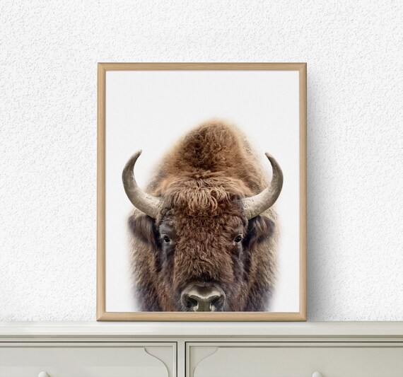 Buffalo Print Bison Nursery Animal Decor Australia - Nursery Buffalo Wall Decor Buffalo Print Bison Nursery Animal Decor Australia - Nursery Buffalo Wall Decor