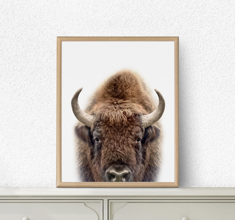 Buffalo Print Bison Print Nursery Animal Nursery Decor | Etsy