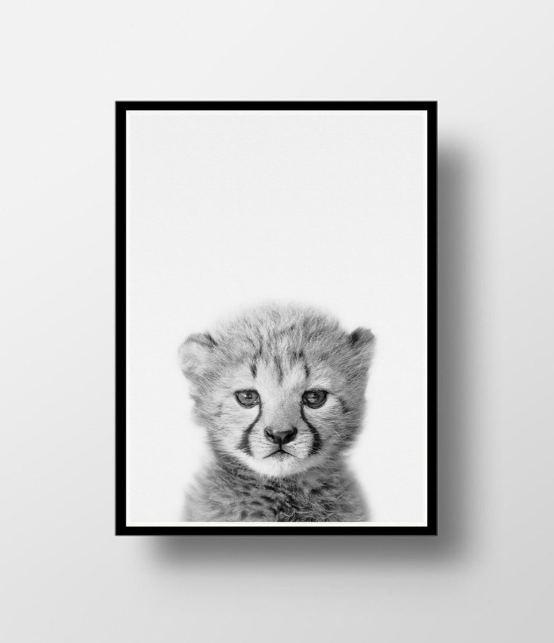 Cheetah Cub Print Cheetah Print Nursery Decor African Etsy