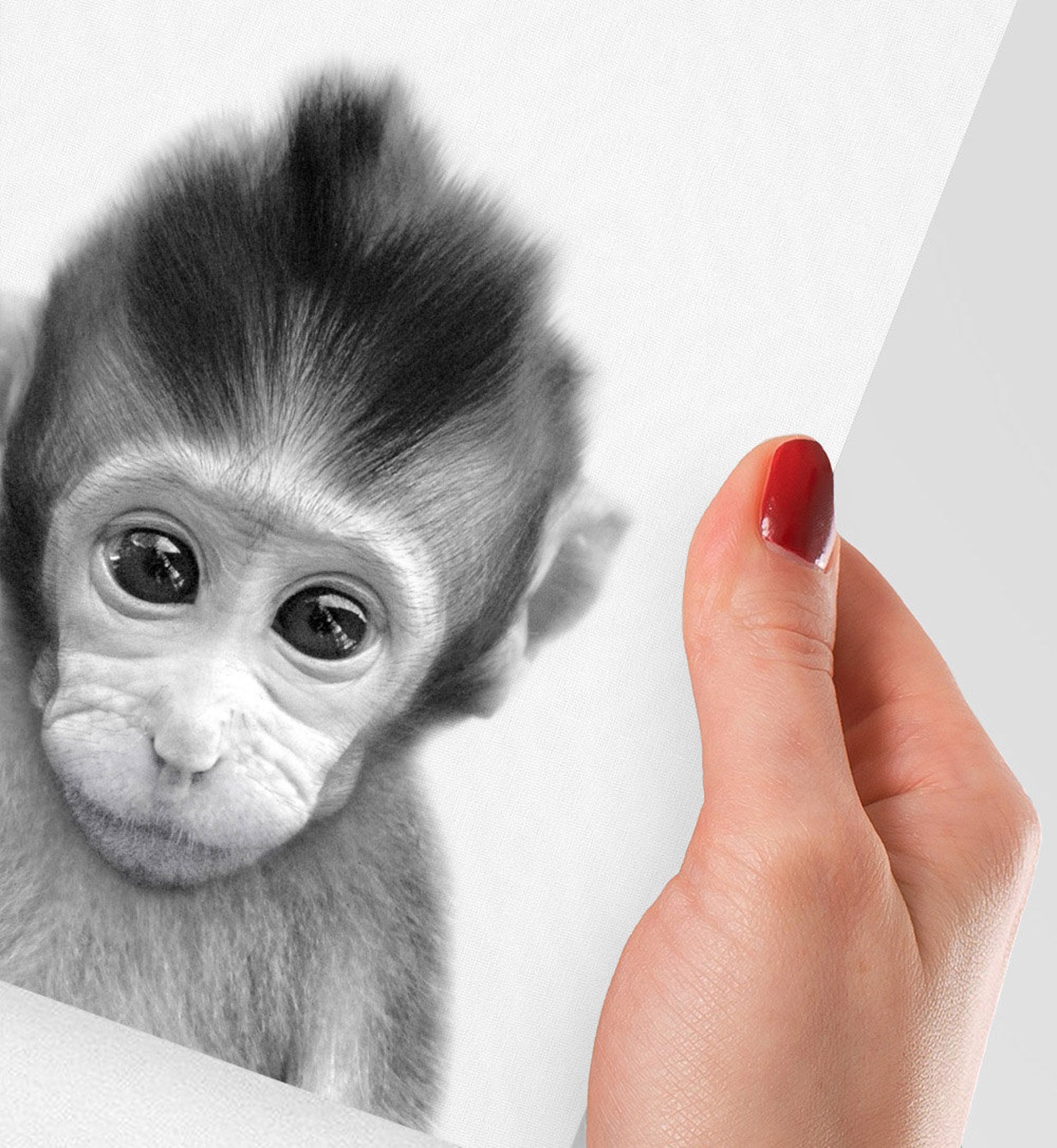 Baby Monkey Print Baby Monkey Wall Art Baby Animal Nursery Etsy