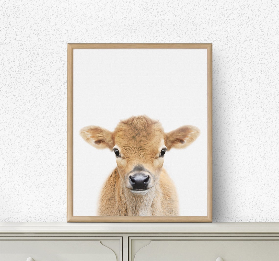 Baby Cow Print Calf Print Baby Cow Wall Art Nursery Farm Etsy