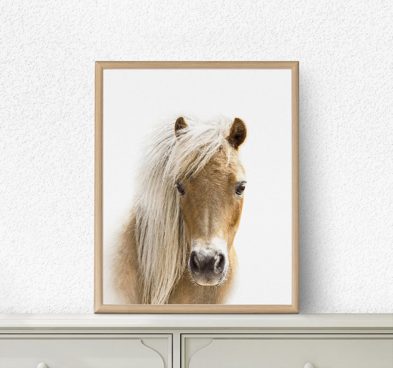Horse Print Horse Wall Art Printable Horse Nursery Animal - Etsy