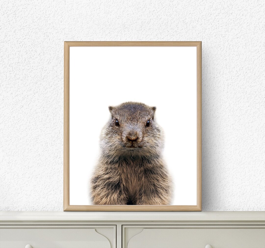 Beaver Print Wall Art Poster Woodland Animal Nursery Decor - Etsy