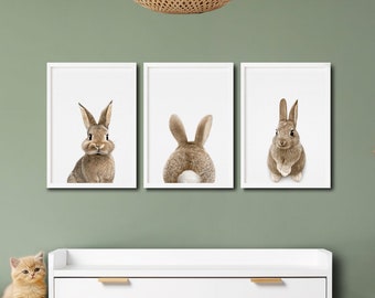 Impression lapin, animaux de la chambre de bébé, queue de lapin, art déco pour chambre de bébé, lapin à imprimer, animaux de la forêt, lot de 3 impressions, téléchargement numérique
