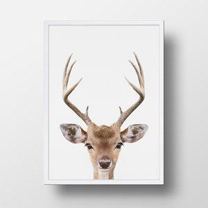 Deer Print Deer Head and Antlers Woodland Animals Woodlands - Etsy