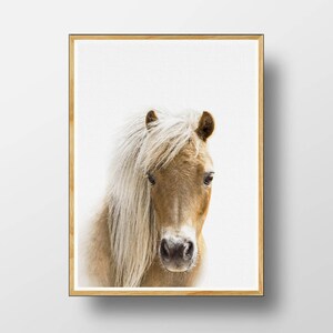 Horse Print, Horse Wall Art, Printable Horse, Nursery Animal Art ...