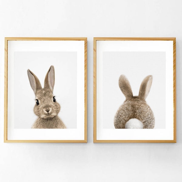 Bunny Rabbit Print - Etsy