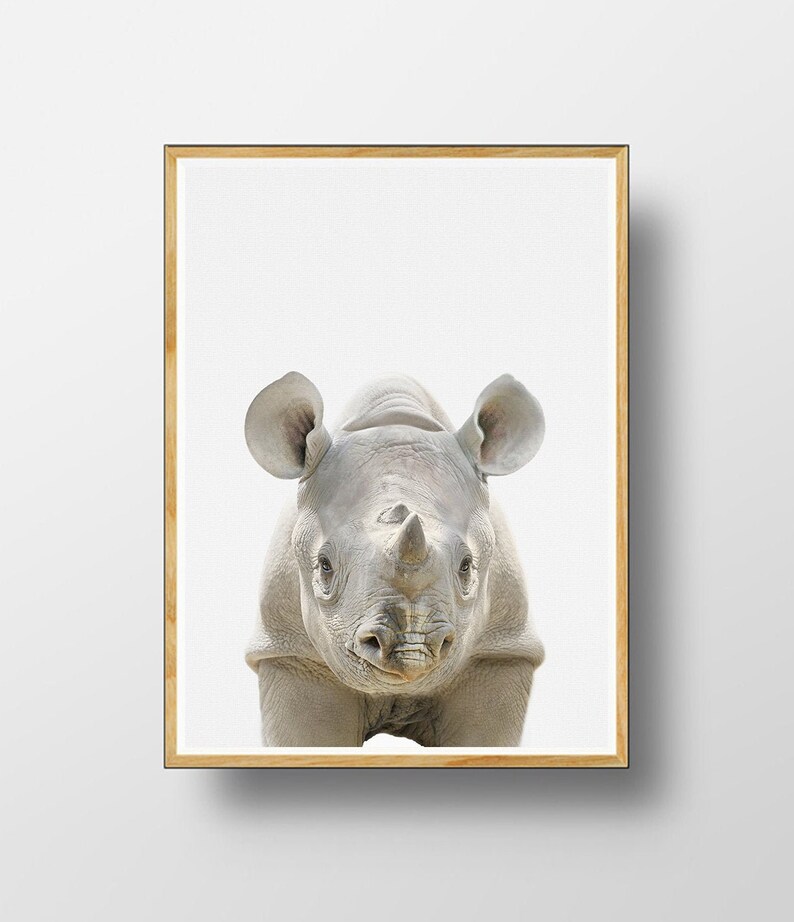 Baby Animal Safari Prints Printable Baby Animal Nursery - Etsy