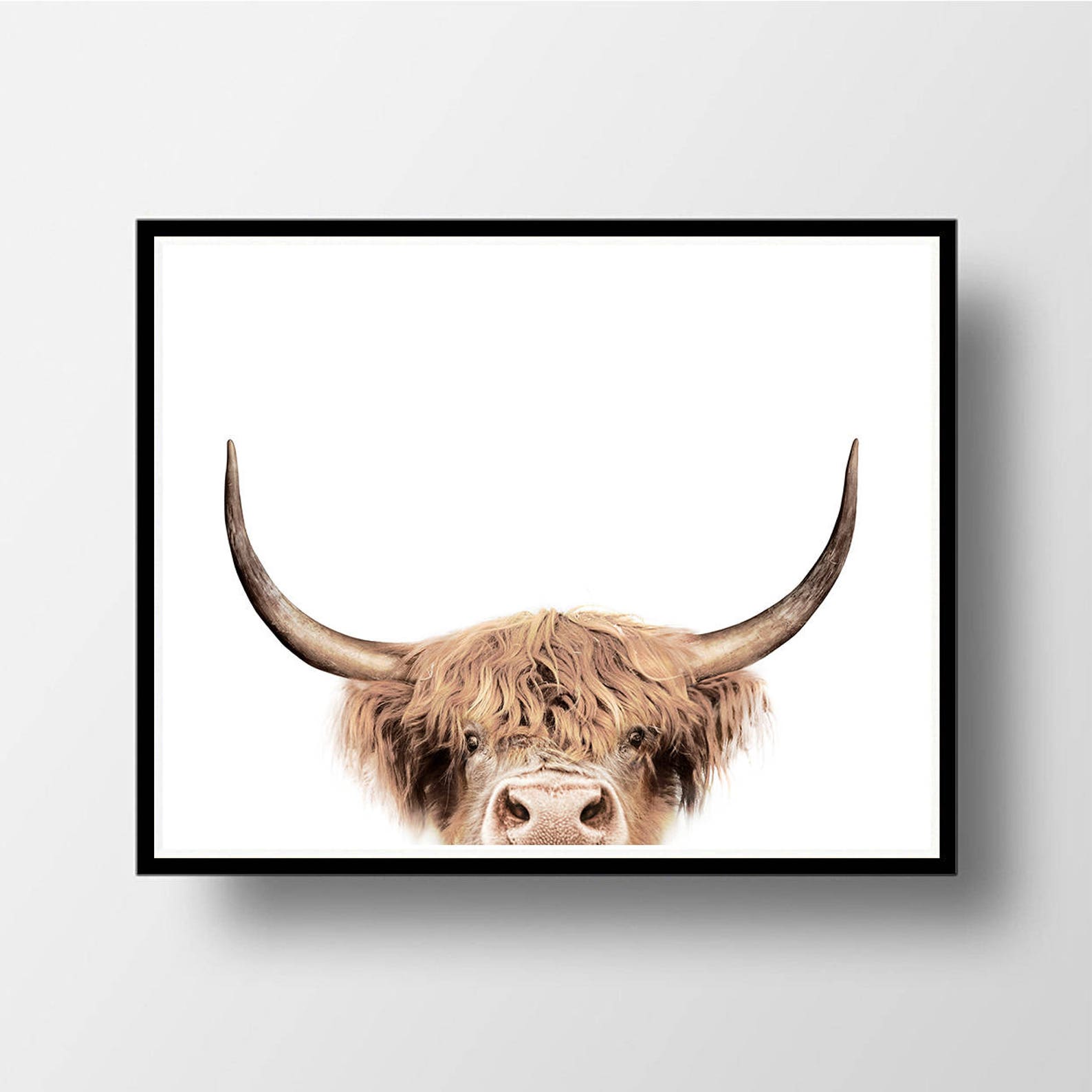 Cow Wall Art Highland Cow Print Cow Print Farm Animal Wall Etsy