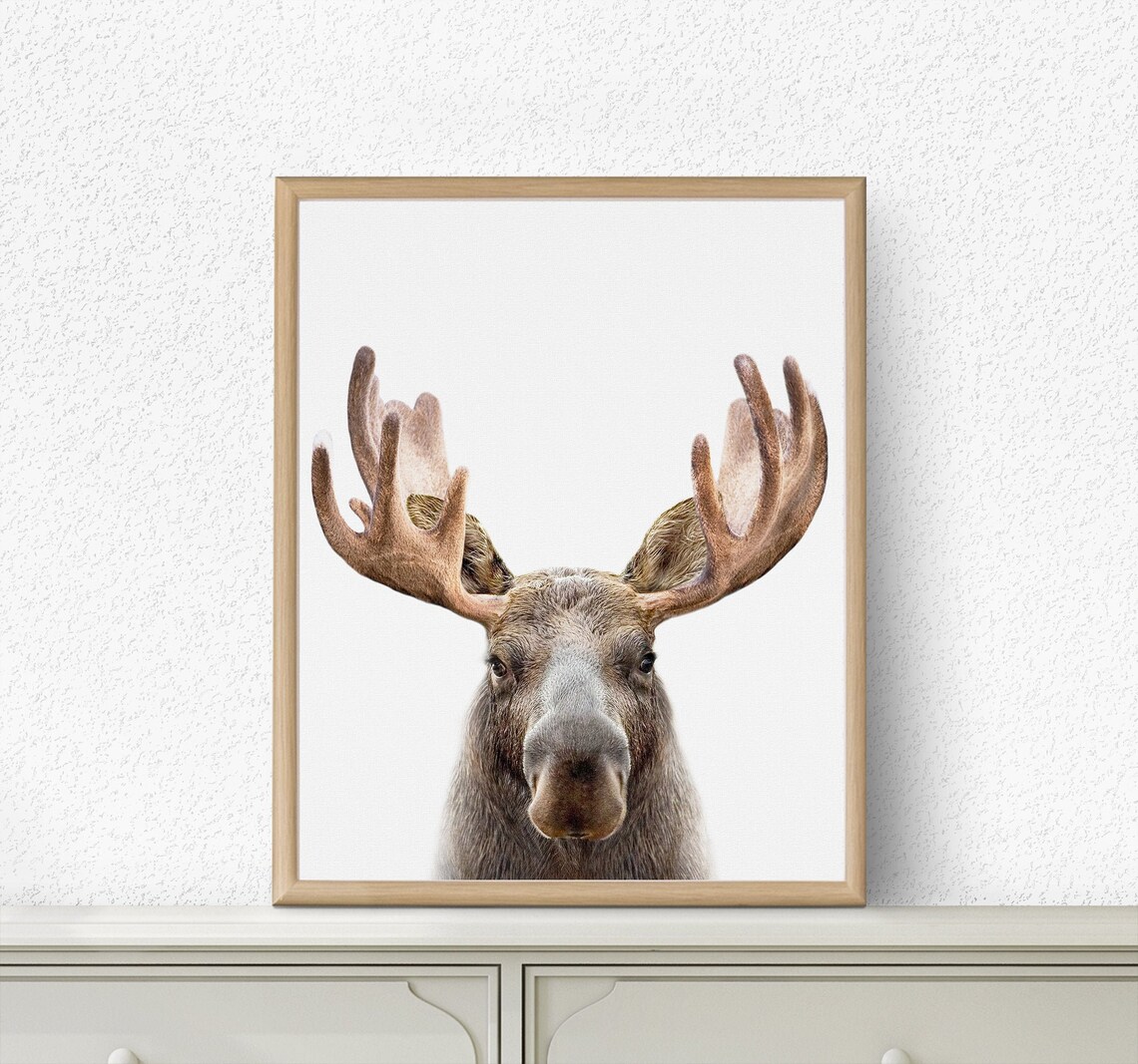 Moose Print Woodlands Nursery Boys Room Decor Nursery Etsy