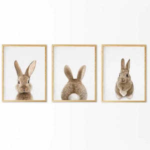 Impresión de conejo, arte de pared para guardería, póster de animales del bosque para bebés, decoración de habitación de bebé, cola de conejo imprimible, juego de 3 impresiones, descarga digital