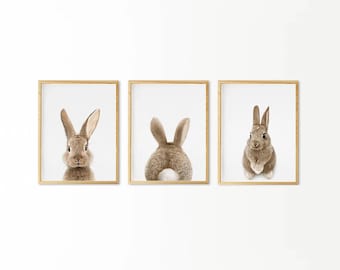 Impression lapin, art mural pour chambre d'enfant, affiche de bébé animal des bois, décoration chambre de bébé, queue de lapin imprimable, lot de 3 impressions, téléchargement numérique