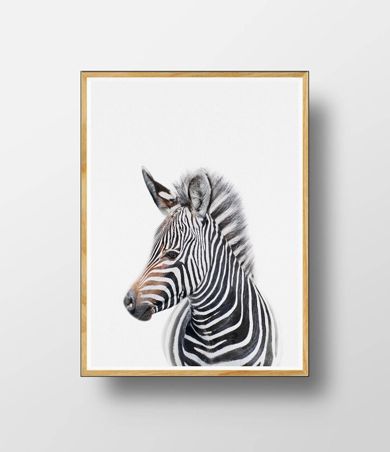 Baby Animal Safari Prints Printable Baby Animal Nursery - Etsy