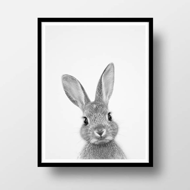 Woodland Nursery Wall Art Decor Bunny Rabbit Poster Nursery Etsy
