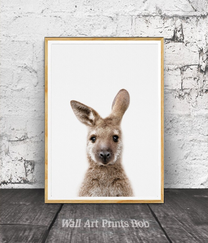 Kangaroo Print Australian Animal Wall Art Nursery Decor Etsy